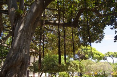 Gölgeli Meydanı ana Bahçe Trapani, Sicilya, İtalya