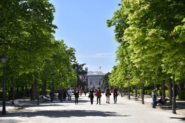 Madrid / İspanya - 12 Nisan 2019 - Jardines del Buen Retiro (Parque del Buen Retiro) İspanya 'nın başkenti Madrid' in ana parkı..