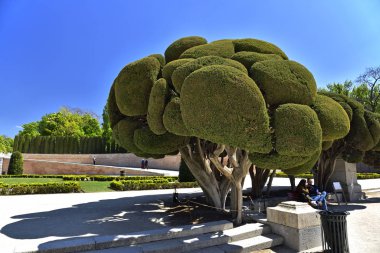 Madrid / İspanya - 12 Nisan 2019 - Jardines del Buen Retiro (Parque del Buen Retiro) İspanya 'nın başkenti Madrid' in ana parkı..