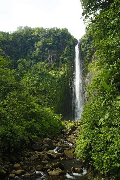 Chute Carbet Waterfalls Group Tropical Forest Located Basse Terre Guadeloupe — Stock Photo, Image