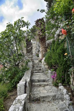 Dalmaçya, Omis, Hırvatistan ve Avrupa 'da çiçek ve bahçelerle süslenmiş Akdeniz konforlu taş kaldırım caddesi
