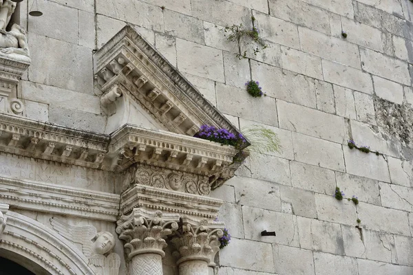 Las Flores Crecen Exuberantemente Sobre Entrada Principal Iglesia Ciudad Vieja — Foto de Stock