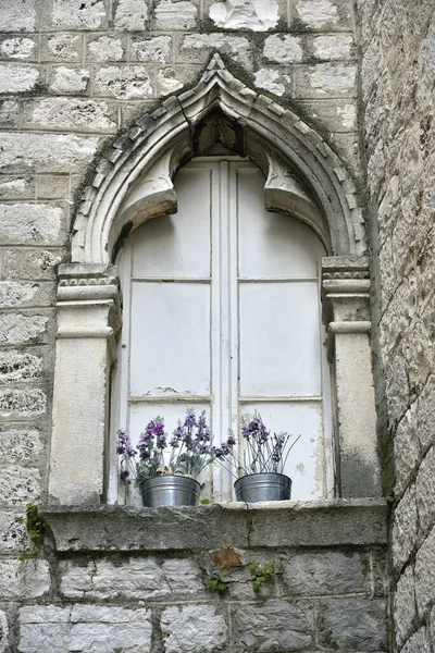 Liten Blomkruka Det Dekorerade Slutna Fönstret Šibeniks Gamla Stad Dalmatien — Stockfoto
