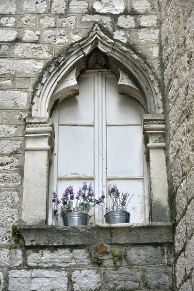 Uma Pequena Panela Flores Janela Fechada Decorada Cidade Velha Sibenik — Fotografia de Stock