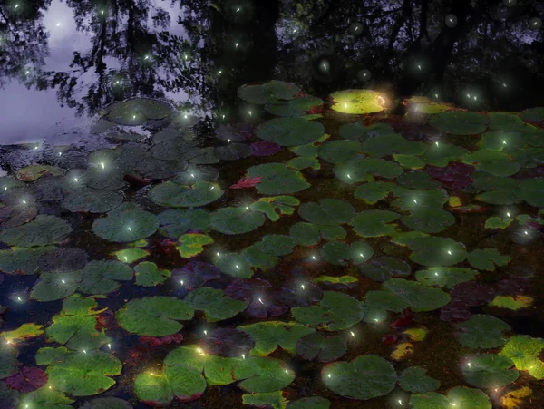 Fireflies and lily pods — Stock Photo, Image