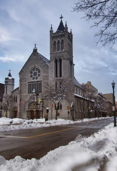 The Cathedral of the Immaculate Conception — Stock Photo, Image