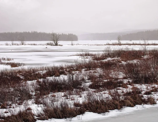 Barren winter landscape — Stock Photo, Image