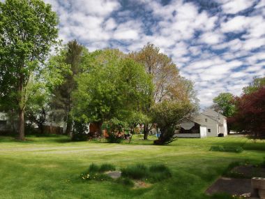 arka bahçesinde bir bahar gününde