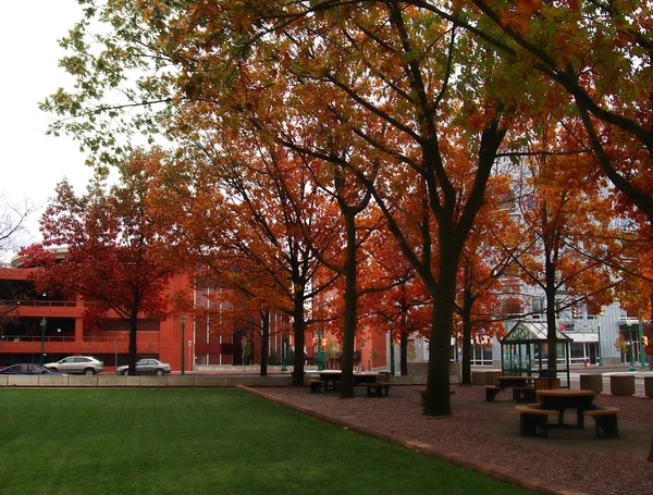 Kleine park op Clinton Street — Stockfoto