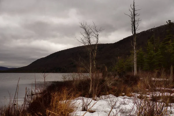 Labrador Hollow Unique Area Dans Nord État New York — Photo