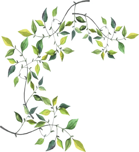 Illustration Vectorielle Conception Belles Branches Vertes Fond Motif Sans Couture — Image vectorielle