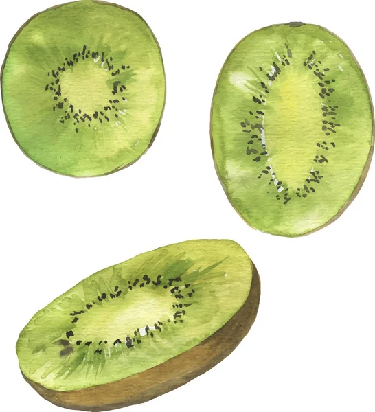 Illustration Vectorielle Conception Vert Aquarelle Fraîche Peinture Kiwi Fruits — Image vectorielle