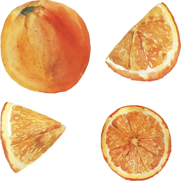 Design Ilustração Vetorial Bela Pintura Aquarela Laranja Fresca Tangerina Fruta — Vetor de Stock