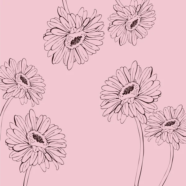 Vector Ilustración Flores Silvestres Patrón Sin Costura Sobre Fondo Blanco — Vector de stock