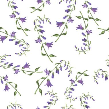 güzel vahşi mor bellflowers Dikişsiz desen beyaz arka plan üzerinde gösterimi