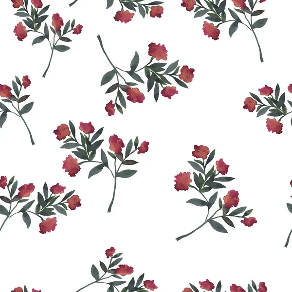 Mooie Illustratie Van Veldbloemen Naadloze Patroon Witte Achtergrond — Stockfoto