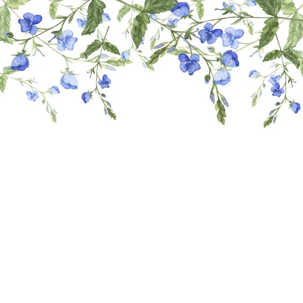Bela Pintura Aquarela Flores Azuis Fundo Padrão — Fotografia de Stock