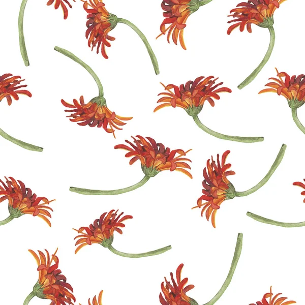 Mooie Illustratie Van Naadloze Patroon Wilde Oranje Bloemen Witte Achtergrond — Stockfoto