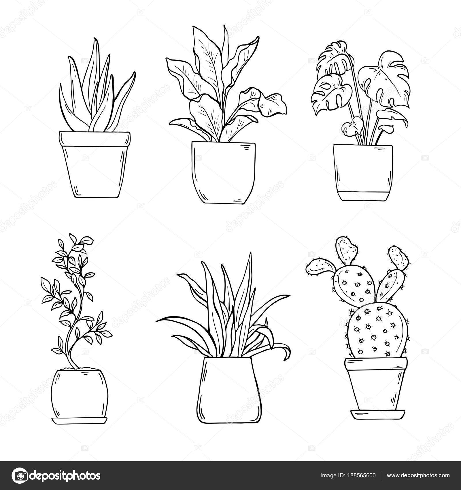 Continuous one line drawing of house plant in pot. Botanical decorative  plants sketch contour design, isolated on white background. Decorative  houseplant concept. Vector illustration 1919246 Vector Art at Vecteezy