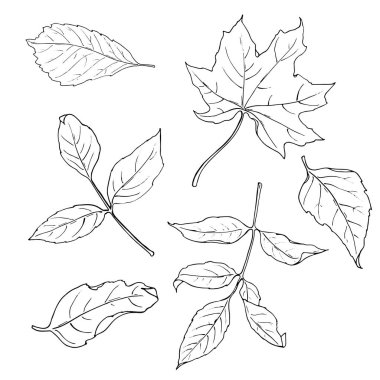 vektör çizim tasarımını Dikişsiz desen arka plan bırakır