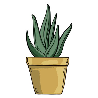 güzel bahar yeşillik çiçek tencerede vektör çizim tasarımı  