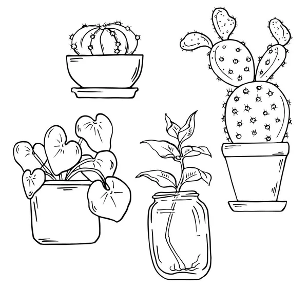 güzel ev bitki örtüsü saksı vektör çizim tasarımı