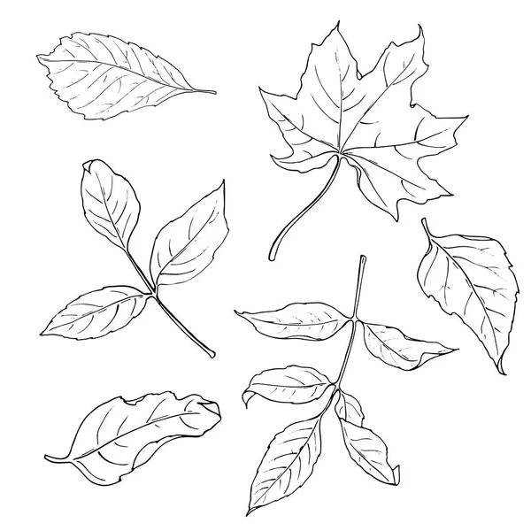 vektör çizim tasarımını Dikişsiz desen arka plan bırakır