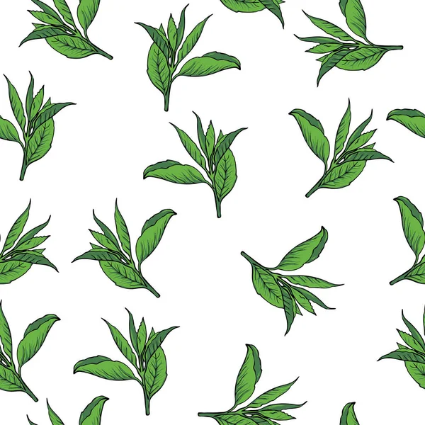 Illustration Vectorielle Feuilles Vertes Motif Sans Couture Sur Fond Blanc — Image vectorielle