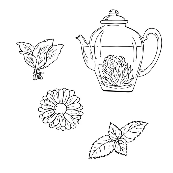 白色背景下的茶壶矢量图解设计 — 图库矢量图片