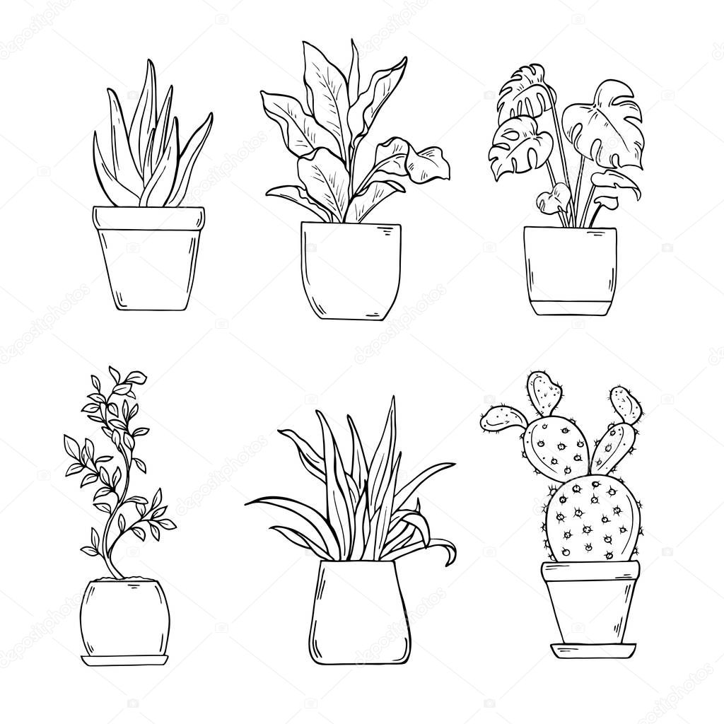 vector illustration design of beautiful spring foliage in flower pot  
