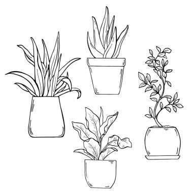 güzel ev bitki örtüsü saksı vektör çizim tasarımı