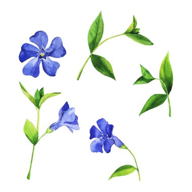 vektör çizim tasarım blue Bell'de çiçek desen arka plan ile güzel yeşil dalı 