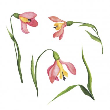 güzel bahar çiçekleri Dikişsiz desen beyaz arka plan üzerinde gösterimi