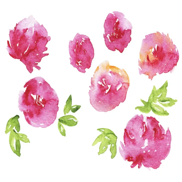 Vektorillustration Vilda Rosa Blommor Sömlösa Mönster Vit Bakgrund — Stock vektor