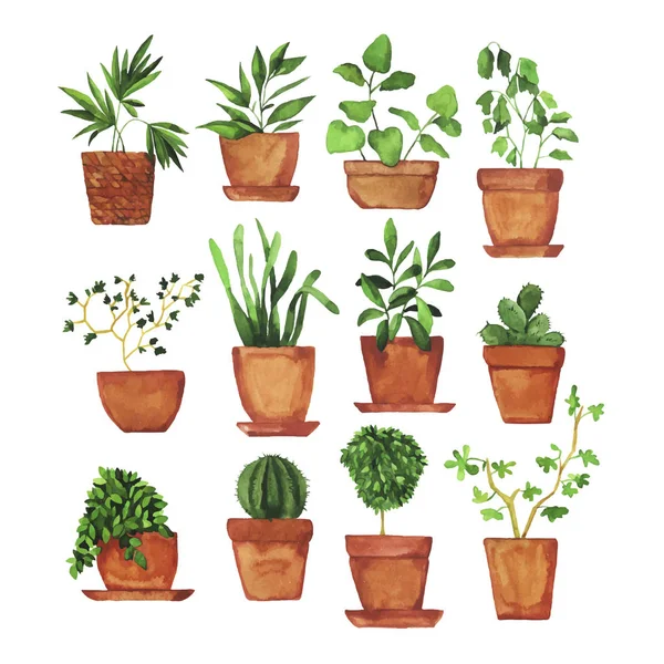 Desenho Ilustração Vetorial Belas Plantas Primavera Vasos Flores — Vetor de Stock