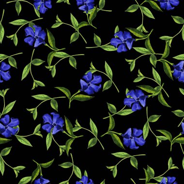 siyah zemin üzerine mavi çan çiçekleri seamless modeli güzel suluboya resim 