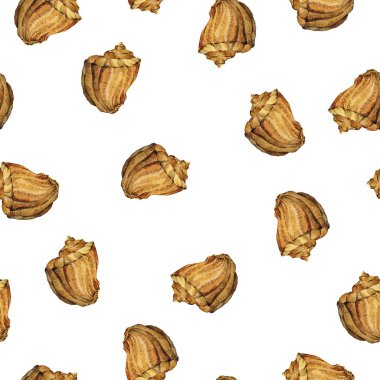 deniz kabuklarını Dikişsiz desen arka plan güzel suluboya resim