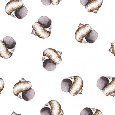 deniz kabuklarını Dikişsiz desen arka plan güzel suluboya resim