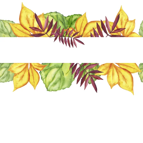 Beautiful Watercolor Painting Autumn Colored Leaves Pattern — Stock Photo, Image