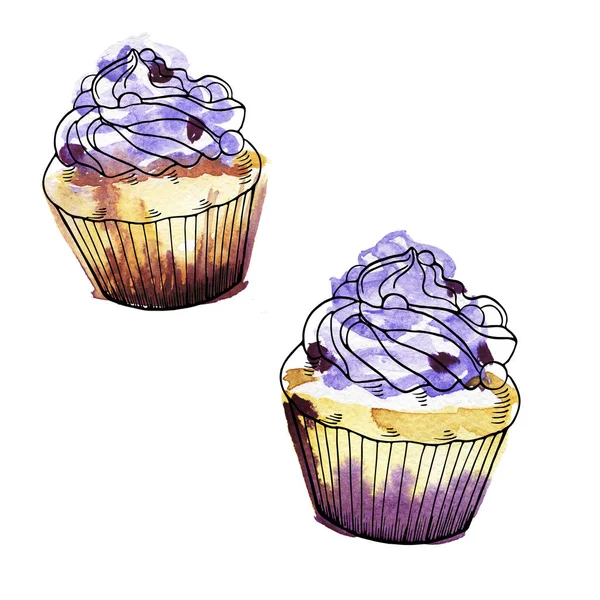 watercolor painting of sweet cupcakes isolated on white background