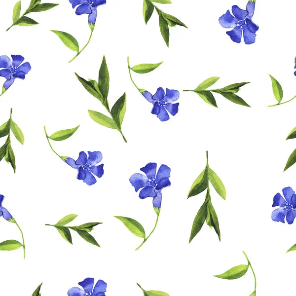Красивая Акварель Голубой Колокольчик Цветы Бесшовный Фон Узор — стоковое фото