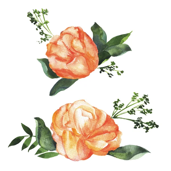 美丽的橙色玫瑰花和绿叶水彩画 — 图库照片