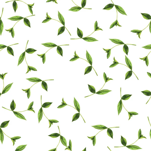 Krásná Ručně Kreslené Ilustrace Zelené Větve Vzor Bezešvé Pozadí — Stock fotografie