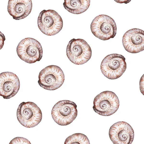 Seashells Varrat Nélküli Mintát Háttér Gyönyörű Akvarell Festészet — Stock Fotó