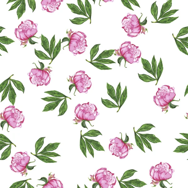Красивая Акварельная Живопись Розовыми Цветами Пиона Зелеными Листьями — стоковое фото