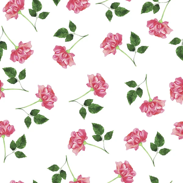 Красивая Акварельная Живопись Розовыми Цветами Пиона Зелеными Листьями — стоковое фото