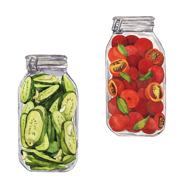 Illustration Conception Belle Peinture Aquarelle Cornichons Ensemble — Photo