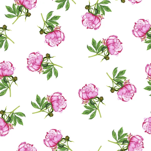 Акварельне Розфарбування Квітів Диких Рожевих Півоній Безшовний Візерунок Білому Тлі — стокове фото
