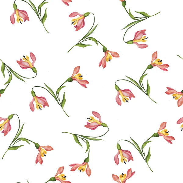 Watercolor Painting Wild Pink Flowers Seamless Pattern White Background — Stock Photo, Image