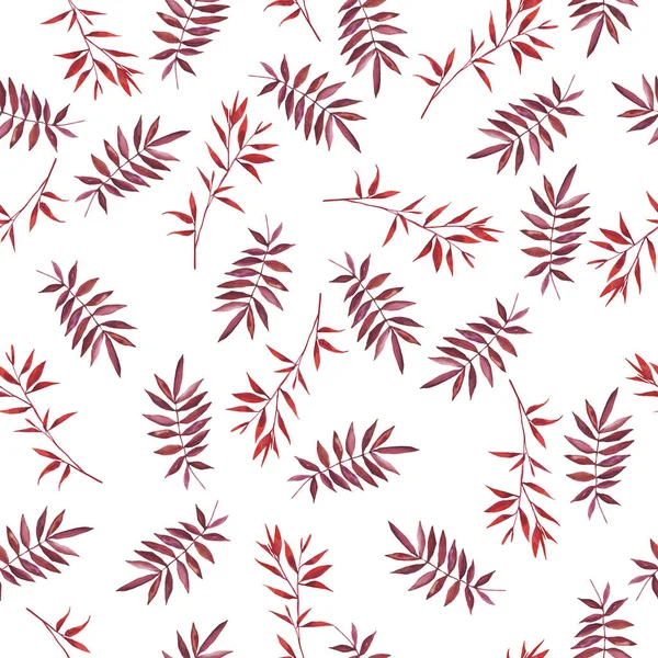 Красива Ілюстрація Червоного Листя Безшовний Візерунок Білому Тлі — стокове фото